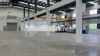 Cho Thuê Kho Xưởng 1200m² – Quận Bình Tân Container 24/24,PCCC Tự Động