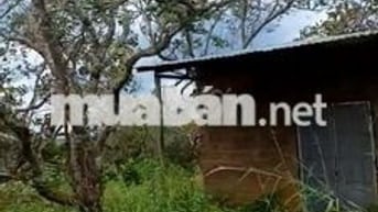 có nhà điện nước đầy đủ sau có suôi  đường đất 8m thông xắp lên nhưa
