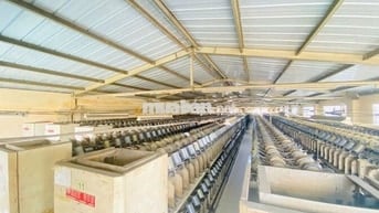 Cho thuê kho xưởng 2.400m² , Quận 12 – Đường container, PCCC đạt chuẩn