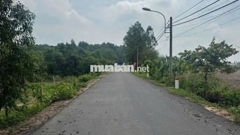 Đất full thổ cư 104m2 Phước Hiệp Củ Chi giá tốt nhiều ưu đãi