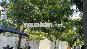 Bán lô đất mặt đường 6m ở An Phú Tây, Bình Chánh, diện tích 100m2 SHR