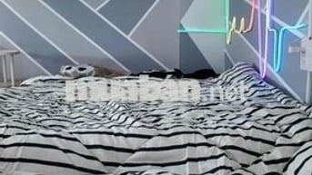 Phòng Full nội thất, duplex Gần Hoa Phượng, Phan xích long