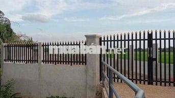 Cần Bán Đất 1550m2 - 10 tỷ Đường Trương Văn Đa Bình Chánh