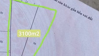 Bán 3100m2 đất nông nghiệp đường ô tô gần Nguyễn Văn Linh + QL1A