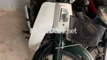cub 81 đẹp 50cc