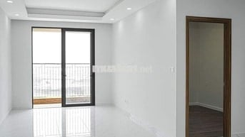 Căn hộ chung cư 590 CMT8 -Đối diện CV Lê Thị Riêng:100m2-2PN-Nhà trống