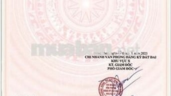 Chính chủ cần bán đất sát bãi biển Tân Điền ,Gò Công Đông ,DT 127,9m2