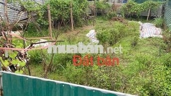 NHỈNH 15TR/M CÓ NGAY THỬA ĐẤT VEN HỒ ĐỊNH CÔNG-GẦN Ô TÔ-150M; MT8M