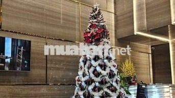 🏨 CHÀO BÁN KHÁCH SẠN MỚI – TRUNG TÂM PHỐ TÂY AN THƯỢNG, ĐÀ NẴNG