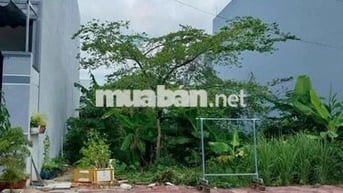 Bán đất 750 Triệu, MTĐ Nguyễn Trọng Thế, Đức Hoà, Hậu Nghĩa, Long An,