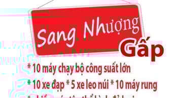Sang Nhượng : 10 máy chạy bộ công suất lớn - 10 xe đạp - 5 xe leo núi
