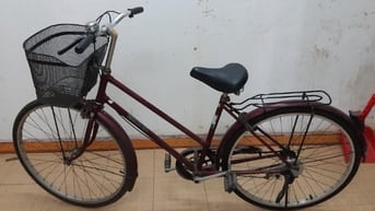 Xe đạp Martin vành nhôm 26 đang sử dụng