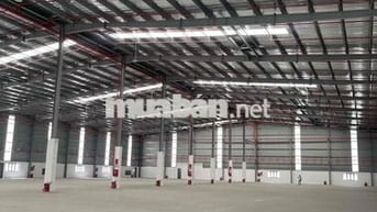 Cho thuê nhà Xưởng 4612 m2 trong KCN Vsip - Bình Dương
