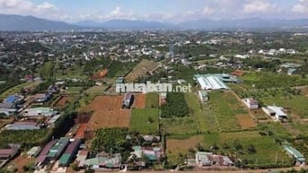 Hai nền đất tại phường 2 Bảo Lộc 200m2 sổ hồng sẵn 9 chủ sang tên ngay
