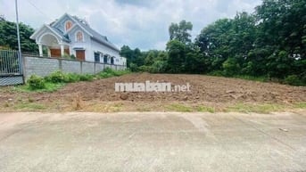Chú 6 bán gấp loi đất ngay UBNN An Linh Phú Giáo giá 480tr buông sổ