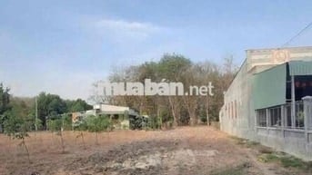 Chị 8 bán nhanh lô đất 250m2+100tc đối diện UBNN An Linh đi vào 200m