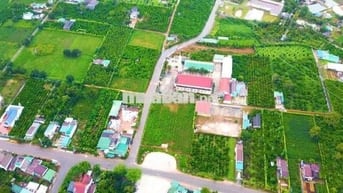 Lô đất 1023m2 có 150m thổ cư tại phường 3,Bảo Lộc. Sổ hồng riêng 9chủ.