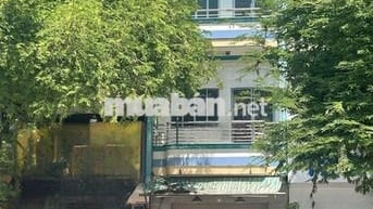 Cho Thuê Nhà Đường Minh Phụng, Quận 11 ( KD Tự Do - CHDV )