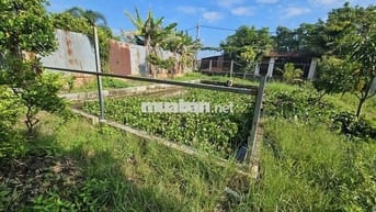 Đất sổ đỏ chính chủ 660m2 đường Kênh Cây Xanh, Bình Mỹ, H. Củ Chi