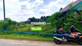 Chú tư bán lô đất 500m2 giá chỉ 750tr nằm ngay chợ Phước Thạnh Củ Chi