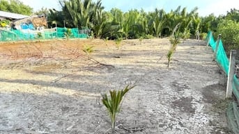Cần bán 661m2 đường Liên ấp 2-3, xã Hiệp Phước, Nhà Bè giá 900triệu