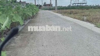 dt: 5*25 , giá :490tr , lạc tấn - tân trụ - long an , sổ hồng riêng