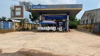 Gần trường cấp 1 📐 Diện tích: 12x25m – 2 lôLK 3TỶ500 TRIỆU