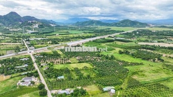 GIẢM GIÁ CỰC SỐC! 500M2 ĐẤT THỔ  MẶT TIỀN ĐƯỜNG OTO- DIÊN KHÁNH.