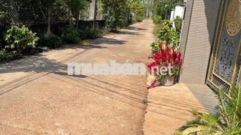 Đâấ sổ hồng thổ cư cách quốc lộ 1 a 400m dân cư đông bán gấp
