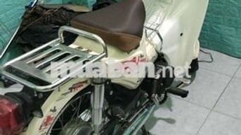 Cub 50cc