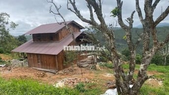 Bán gấp mảnh đất Xuân Trường DL diện tích 1200m2 giá 650tr tặng nhà gỗ