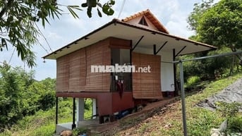 Đất view cực kỳ đẹp, diện tích lên đến 1190m² tại Định Quán giáp suối