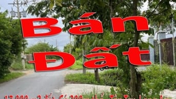 Cần Bán 17.000 m2 đất. Có 300m thổ - Quê Mỹ Thạnh, Tân Trụ, Long An. 