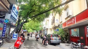 Chính chủ cho thuê mặt bằng kinh doanh - Mặt Phố Hồng Mai -Giá 17tr/th