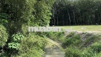 Đất sào hơn 2000m2 có sẵn nhà cấp 4 và view suối phía sau
