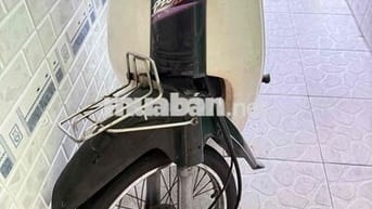 Dream lùn thái 99 biển sài gòn