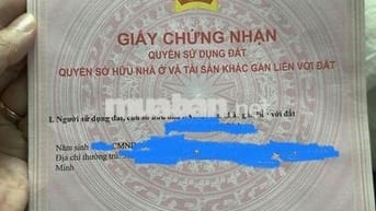 Chính chủ đất trồng cây lâu năm mặt tiền đường Hùng Vương, Nhơn Trạch,