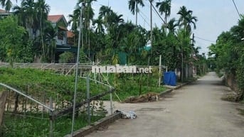 🔥 Lô Đất Nằm giữa khu biệt thự - trại diền - hồng Thái - Phú Xuyên -