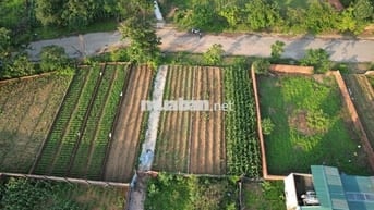 Bán 100m2 Tái Định Cư Vai Réo Rẻ Nhất Khu Vực
