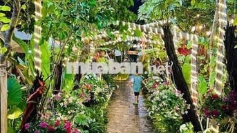 CẦN BÁN MẶT TIỀN SIÊU ĐẸP – TRUNG TÂM CHÂU THÀNH (BẾN TRE CŨ)