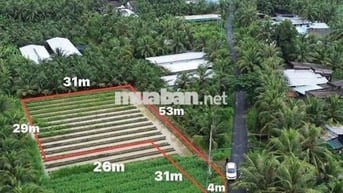 cần bán Lô đất vườn 1000mv tiếp giáp đường nhựa giá chỉ 680 triệu TL