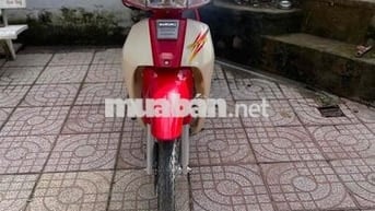 xipo 110