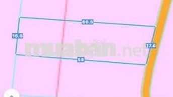 Bán 1000m2 cách 2km sân bay Long Thành