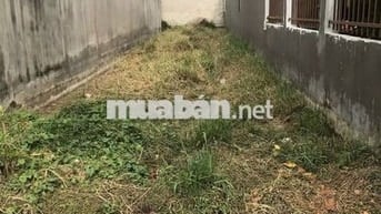 CẦN TIỀN CHO CON DU HỌC BÁN LÔ ĐẤT 163M2 - TÂN THẠNH ĐÔNG. GIÁ 550Tr.