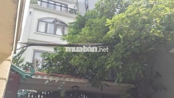 Bán nhà riêng tại Âu Cơ, Yên Phụ, Tây Hồ, Hà Nội 253 triệu / m2, 78 m2