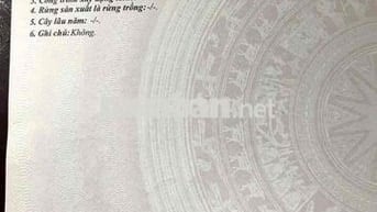Cần bán đất + Dãy trọ đường Triệu Quốc Đạt