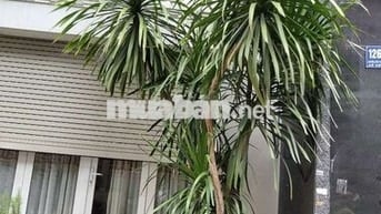 PHÒNG ĐẸP YÊN TĨNH CHO NỮ ĐỘC THÂN