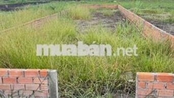 siêu phẩm đất nền Long Khê - Cần Đước