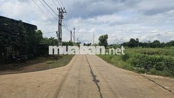💥 ĐẤT 2MT HẺM ĐƯỜNG ĐOÀN KẾT XÃ HÒA PHÚ 394m2 THỔ CƯ VIEW RUỘNG 1.2 TỶ