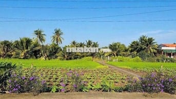 thổ cư 110m2, giá: 520tr tân trụ - long an , 2 xe ô tô né nhau vô tư
